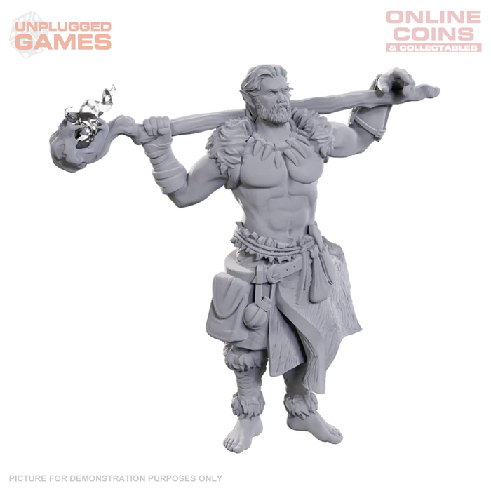 Dungeon and Dragons: Nolzur's Marvelous Miniatures - Archdruid & Martial Arts Adept