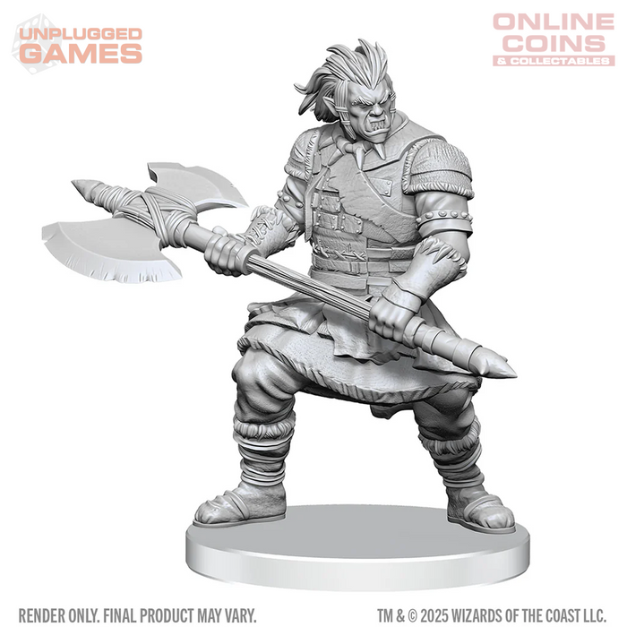 D&D Nolzur's Marvelous Miniatures - Assassin & Berserker