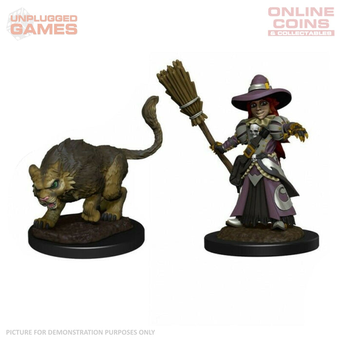 WizKids Wardlings RPG Figures - Girl Witch & Witchs Cat