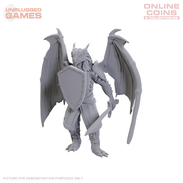 D&D Nolzur's Marvelous Miniatures - Dragonborn of Bahamut