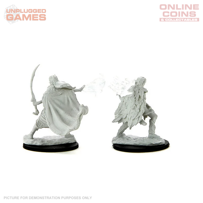 D&D Nolzurs Marvelous Unpainted Miniatures Winter Eladrin & Spring Eladrin