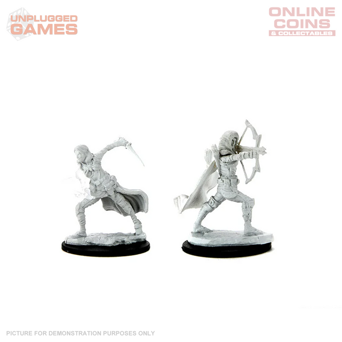 D&D Nolzurs Marvelous Unpainted Miniatures Air Genasi Female