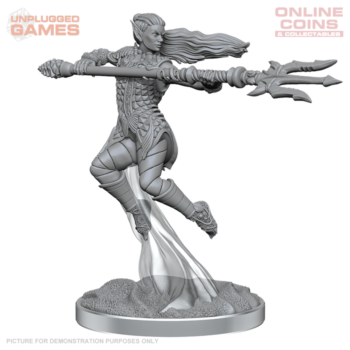 D&D Nolzurs Marvelous Miniatures Sea Elf Fighters