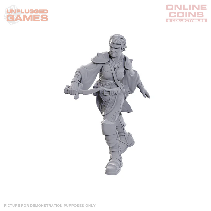 D&D Nolzur's Marvelous Miniatures - Swashbuckler