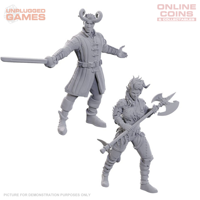 D&D Nolzur's Marvelous Miniatures Special Edition – Baldur's Gate 3 - Wyll & Karlach